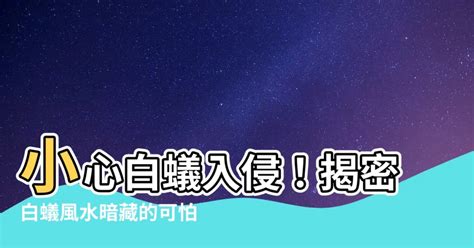 家有白蟻風水|白蟻影響風水（風水古文口訣） — 黃渙博玄學網﹣香。